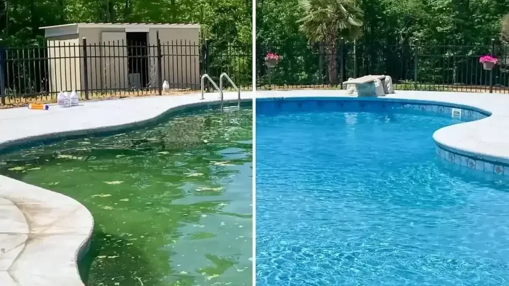 Port Charlotte Pool Cleaning Services FloridaDetail.Com Port Charlotte Pool Service North Port Pool Service