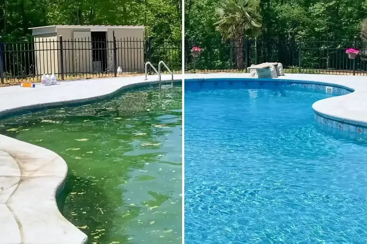 Port Charlotte Pool Cleaning Services FloridaDetailCom Port Charlotte Pool Service North Port Pool Service - FloridaDetail.Com Port Charlotte Pool Cleaning Services FloridaDetail.Com Port Charlotte Pool Service North Port Pool Service