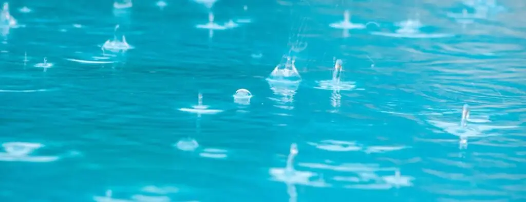 Florida pool filter clog