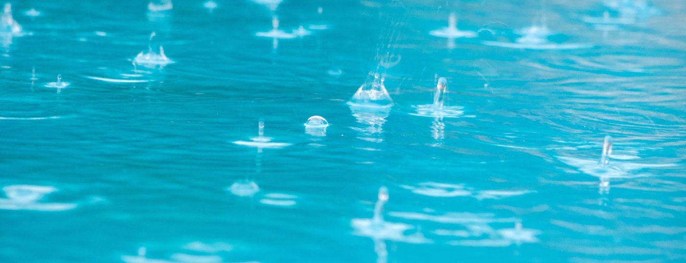 Florida pool filter clog