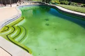 Pool Chlorine Overdose: What It Does to Surfaces