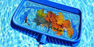 10 Ways to Protect Pool Filters From Debris Overload